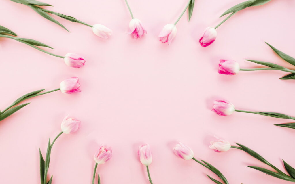 HD wallpaper of fresh pink tulips in a circular frame on soft light pink background spring floral design