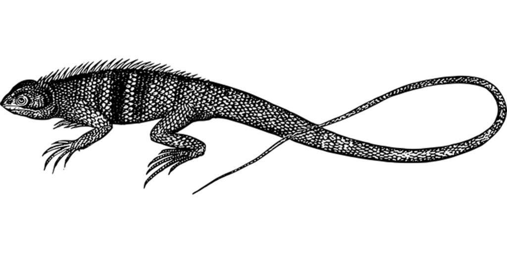 Plain Black Screen Placeholder Image for Generic Background Use Wallpaper