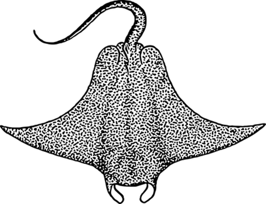 Plain Black Screen Background for Design and Digital Projects Wallpaper