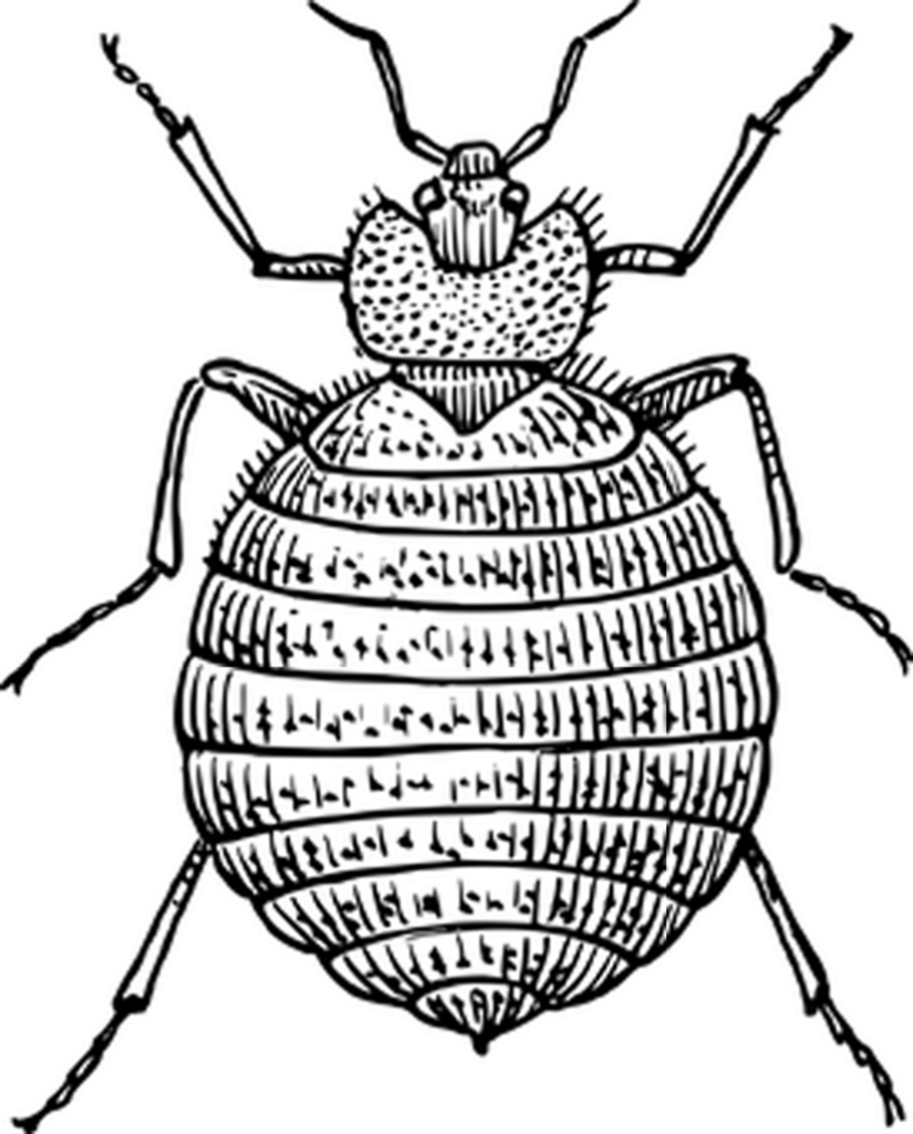 Plain Black Screen: Neutral Placeholder Background for Design Projects Wallpaper
