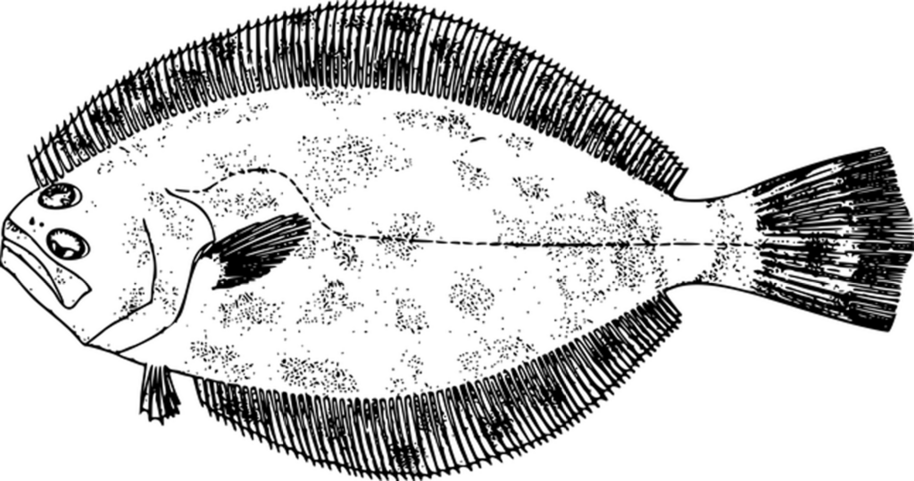 Plain Black Screen: Ideal Placeholder Background for Design Projects Wallpaper