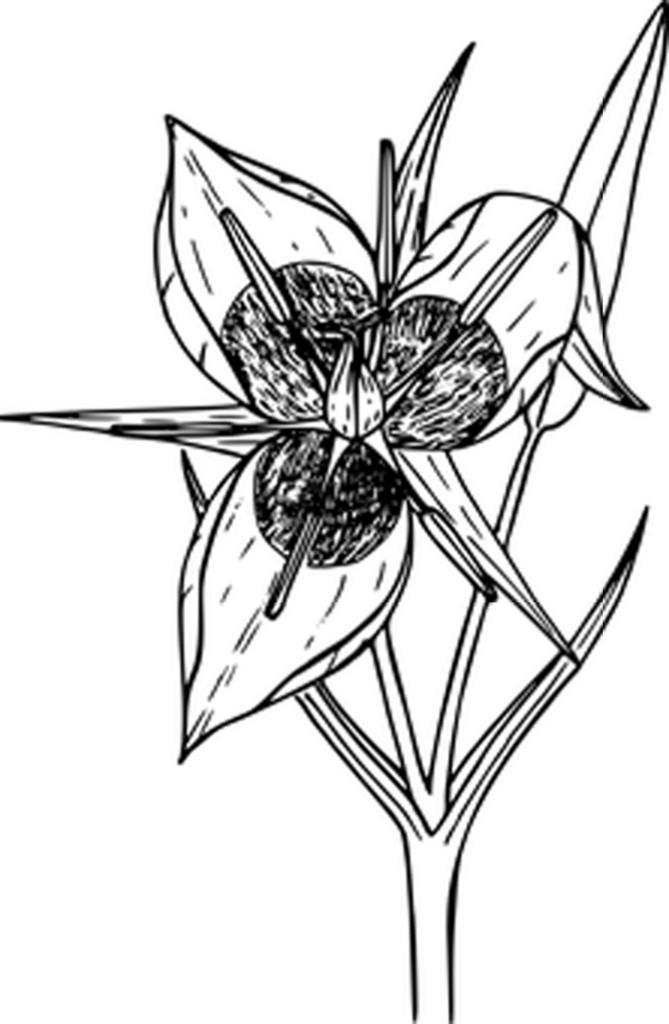 Simple Plain Black Wallpaper - Elegant Background Design