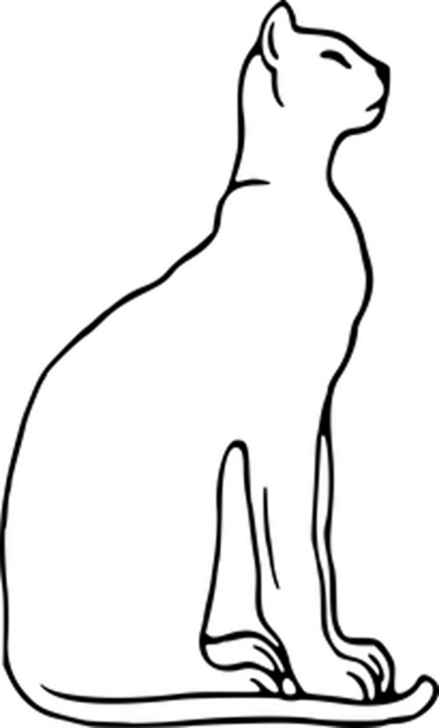 Versatile Plain Black Background for Minimalist Design Projects Wallpaper