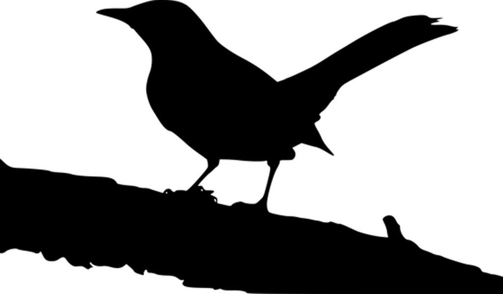 Plain Black Wallpaper for Minimalist Themes & Neutral Backgrounds