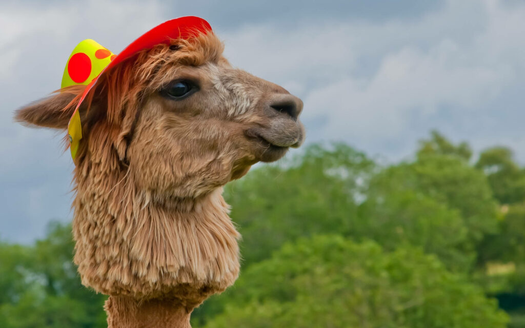 Charming alpaca in colorful party hat on vibrant green background playful cheerful wallpaper