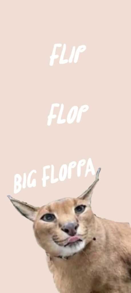 Playful Big Floppa meme wallpaper with flip flop text on light beige background for fans