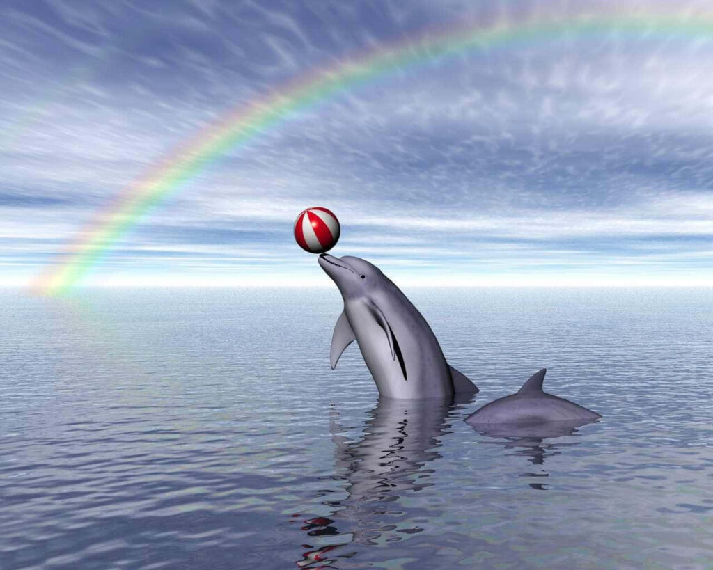 Joyful Dolphin Wallpaper: Playful Scene with Rainbow & Calm Ocean