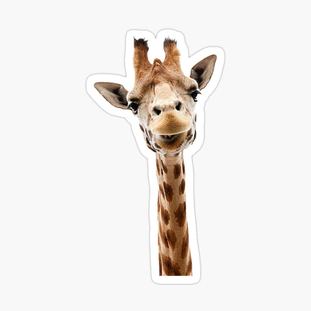 Playful Giraffe Sticker Wallpaper: Whimsical Home Decor Background