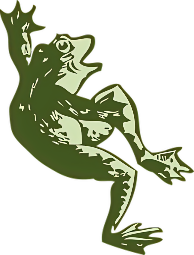 Playful Cartoon Frog Wallpaper - Whimsical Digital Background