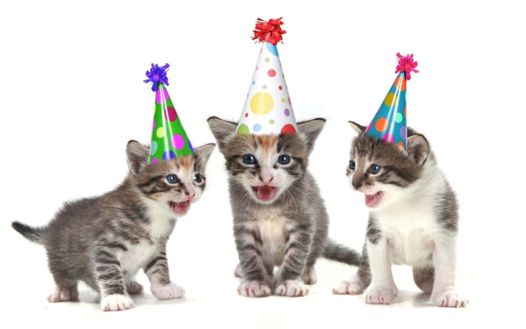 Whimsical Kittens in Birthday Hats - Joyful Desktop Wallpaper
