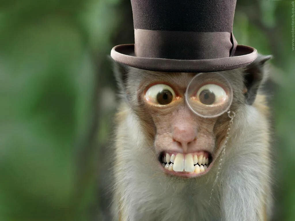 Playful Monkey Magician Wallpaper: Fun Top Hat & Monocle Design