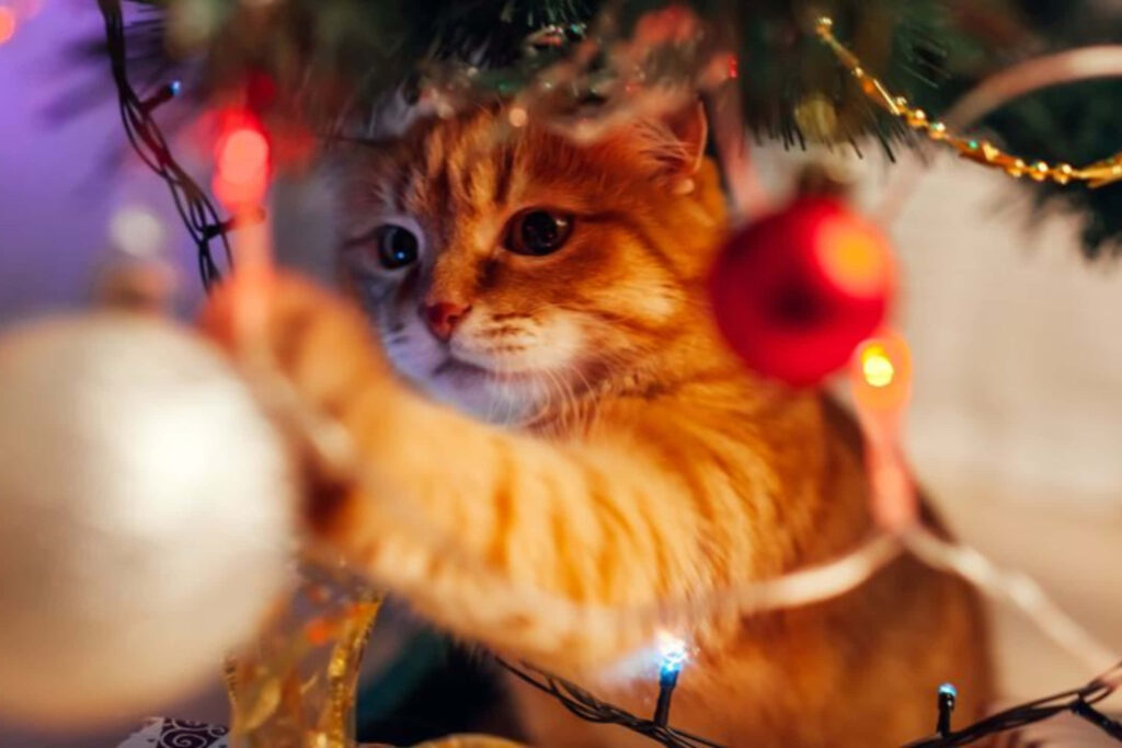 Playful Orange Tabby Cat with Christmas Tree Decor - Festive Wallpaper