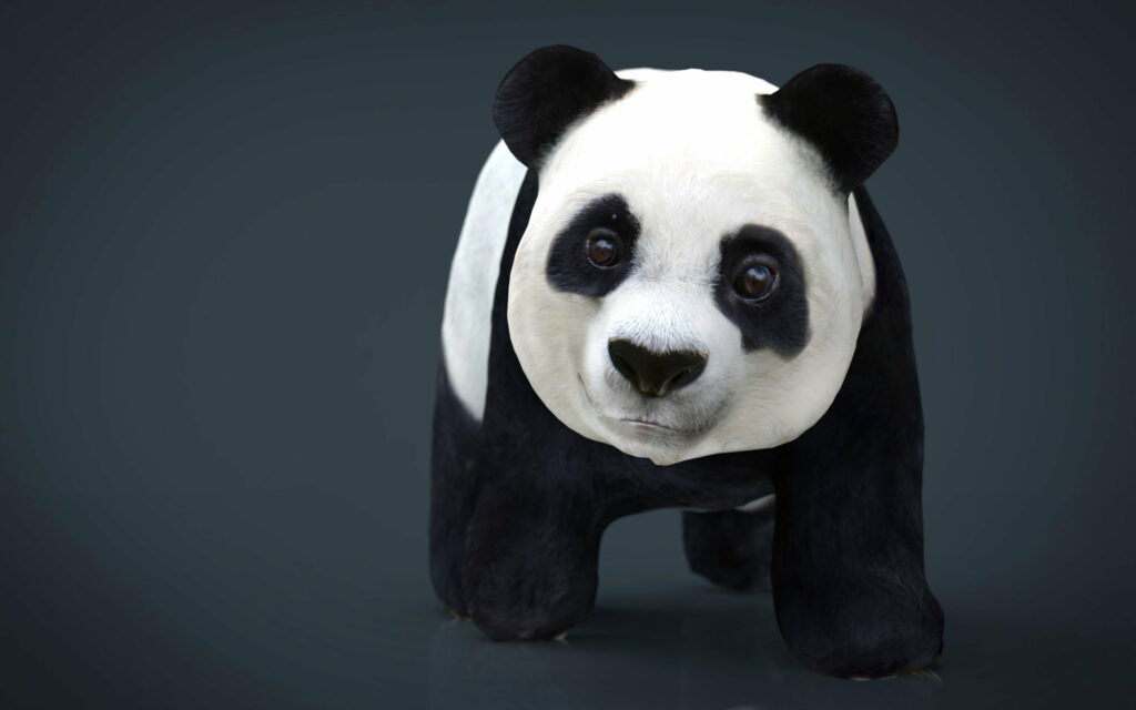 Panda Prodigy: Hilarious 3D Art Depicting Adorable Animals in 4K Wallpaper Masterpiece