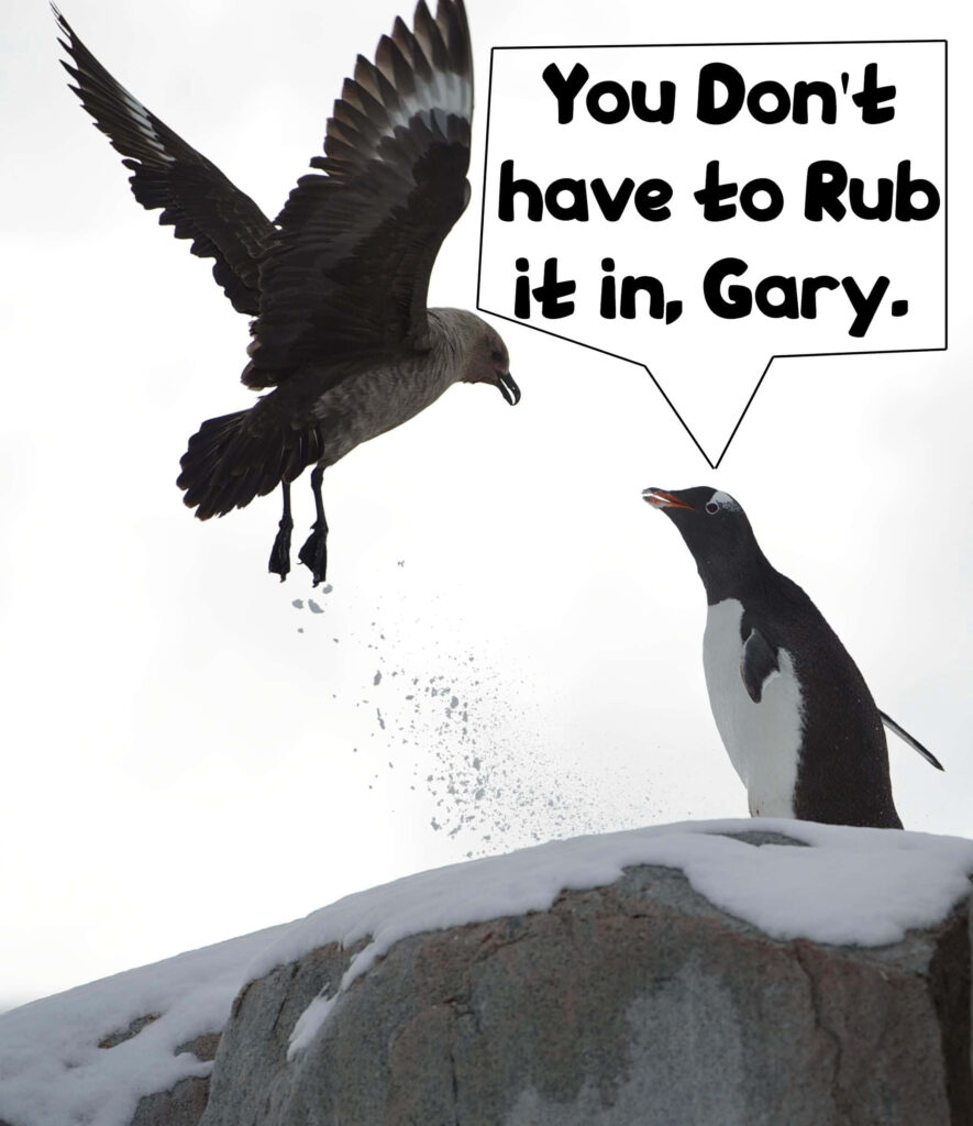 Funny Penguin Wallpaper: Playful Scene with Bird & Quote