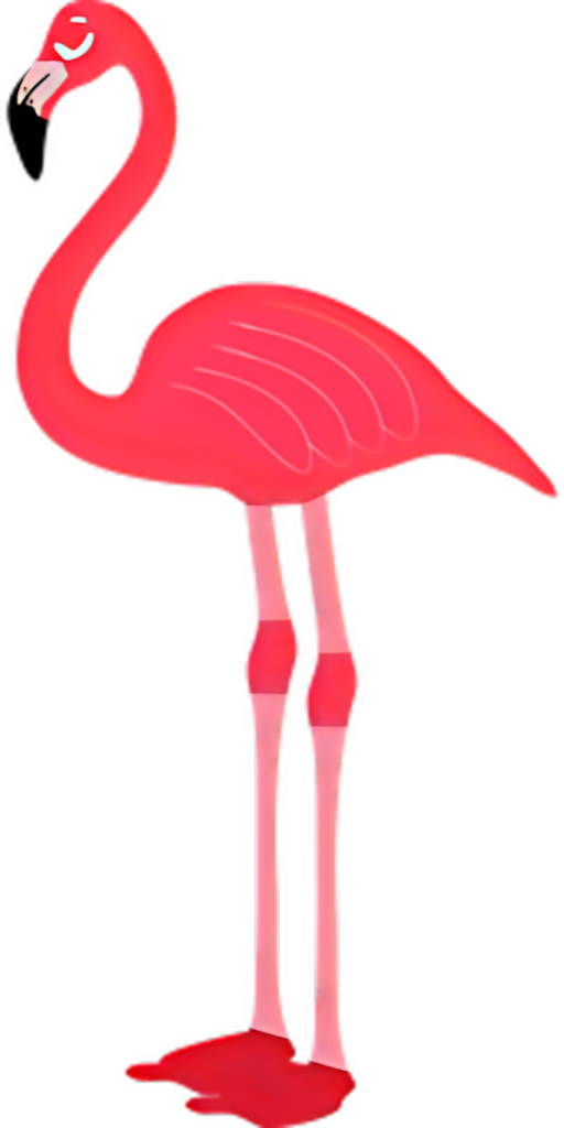 Charming Pink Flamingo Cartoon Wallpaper - Playful & Vibrant Design