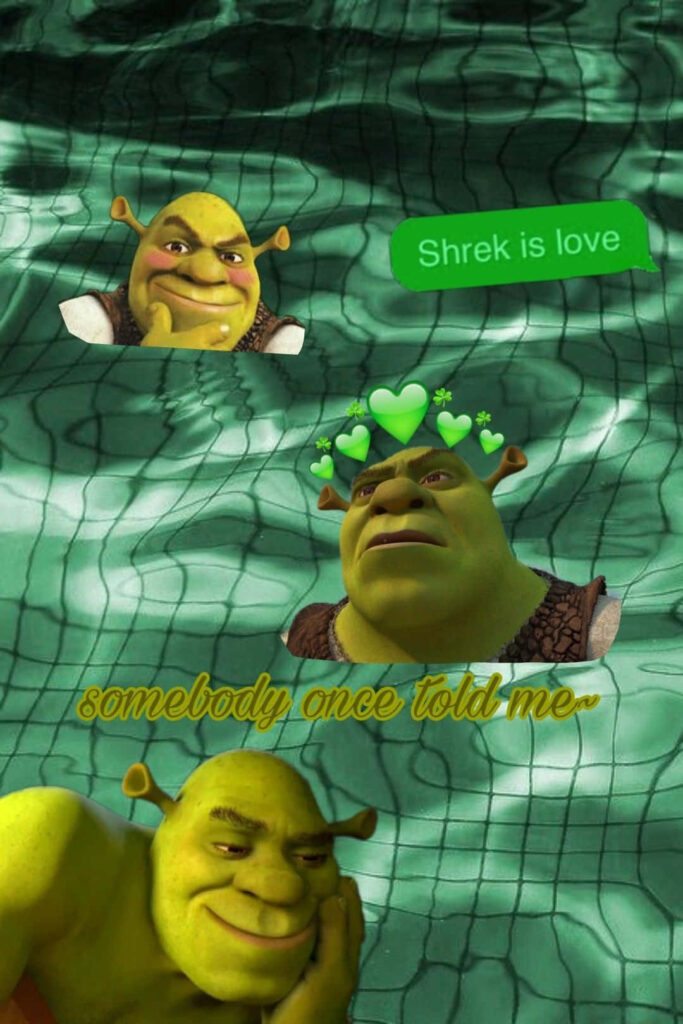 Playful Shrek Pool Wallpaper: Quirky & Nostalgic Design