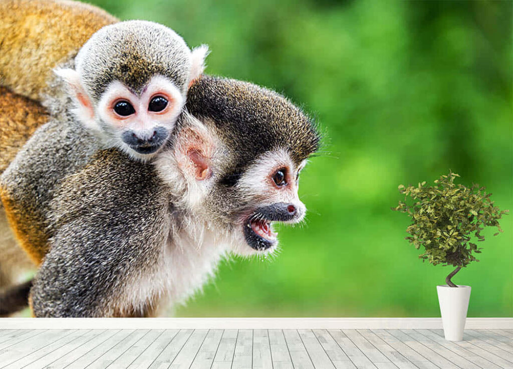 Playful Squirrel Monkeys Wallpaper on Lush Green Background