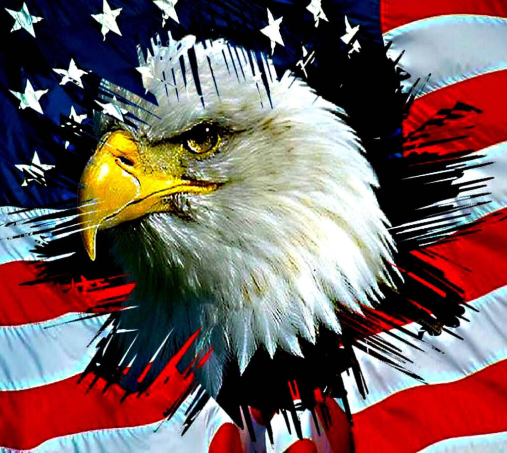 Bold bald eagle with American flag backdrop symbolizing freedom and strength wallpaper