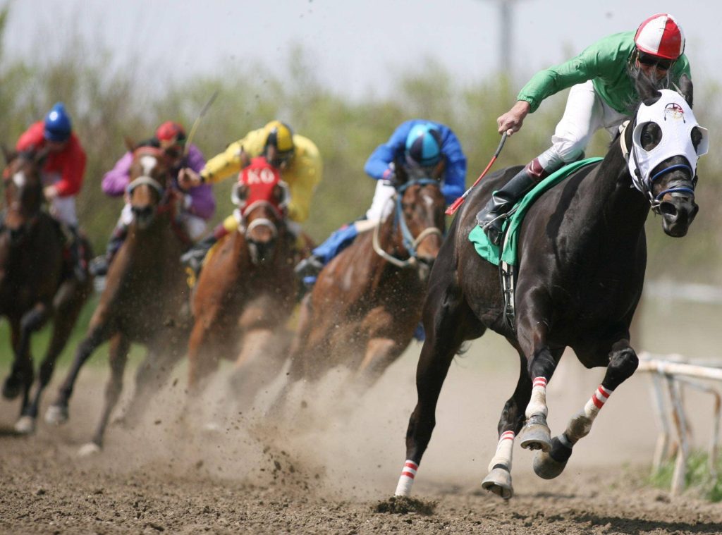 Black racehorse with white mask leads vibrant jockeys on sunlit dirt track in horse racing wallpaper