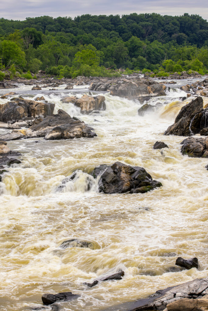 Powerful river rushing through rugged stones with splashing water and lush green trees background Wallpaper