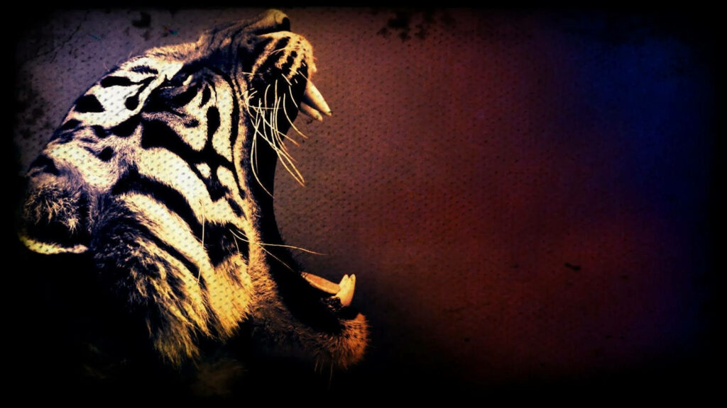 Roaring Tiger Wallpaper: Striking Stripes on Dark Background
