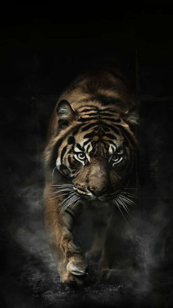 Powerful Tiger Wallpaper: Stealthy Elegance in Dark Misty Background