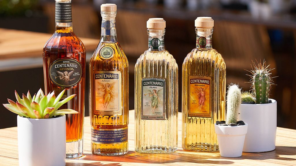 Gran Centenario Tequila bottles on wooden table with succulents natural light wallpaper background