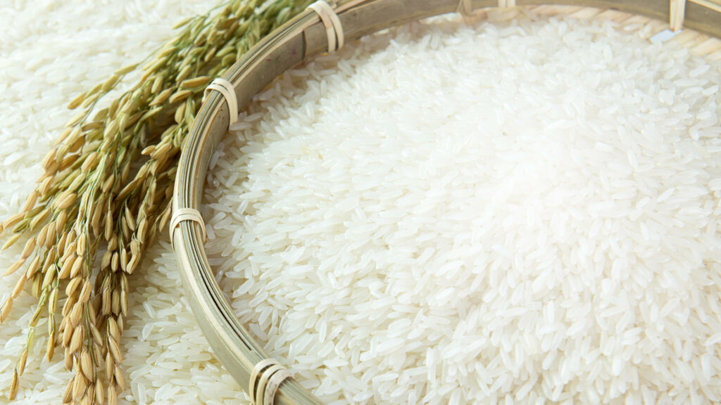 Nature's Bounty: A Serene Rice Composition with Verdant Sprig - Captivating Rice Background Image Wallpaper
