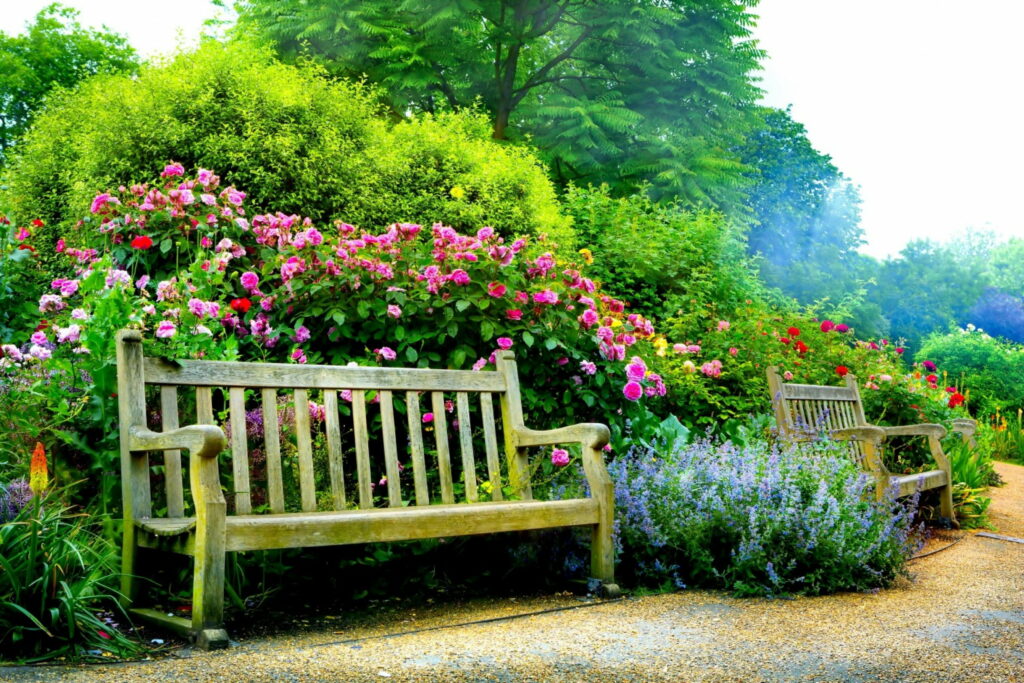 Rest and Relaxation: Discover the Lovely Garden Bench surrounded by Roses and Trees in Spring and Summer - a Bonito Wallpaper for your Phone Screen!