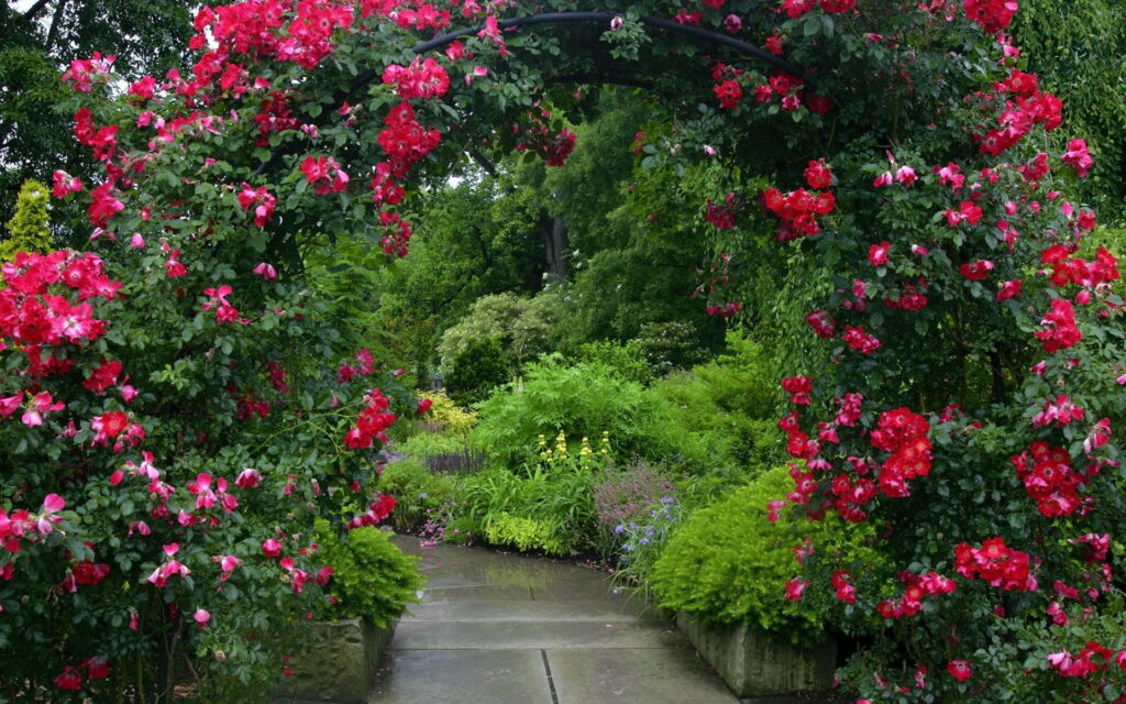 Pretty Pathways: A Garden of Flowers and Nature - HD Wallpaper
