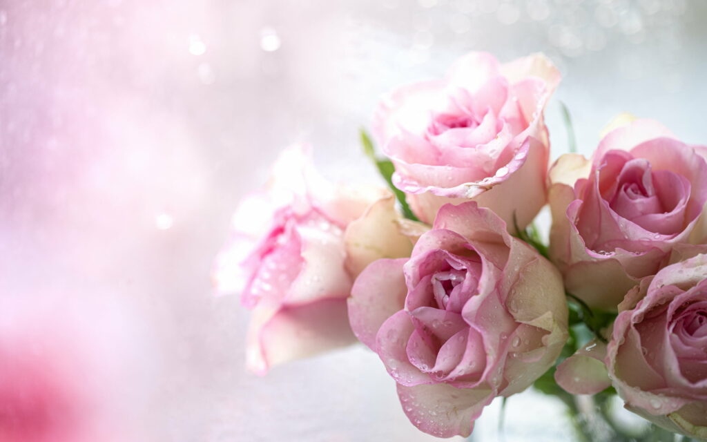 Pink Blossoms: A Delicate Floral Symphony in QHD Wallpaper