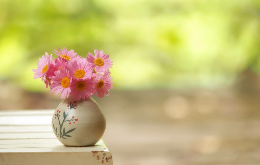 Cute Pink Gerbera Daisies Blossom in a Chic Ceramic Flower Vase, Resting on a Rustic Wooden Surface Wallpaper