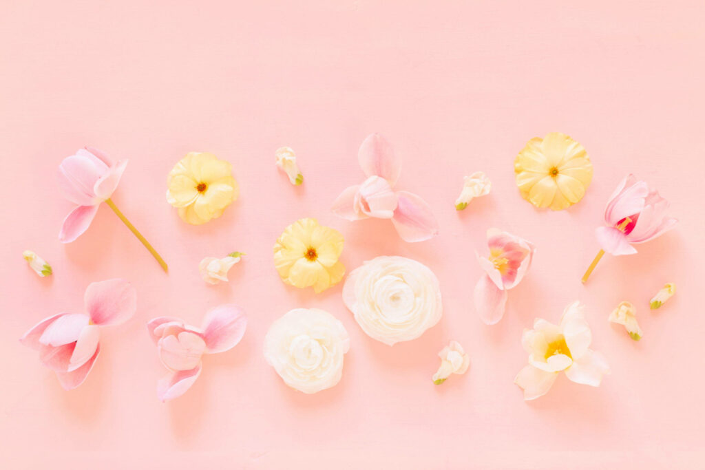 Pink Petal Perfection: Stunning Flat Lay Wallpaper with Pastel Flower Accents