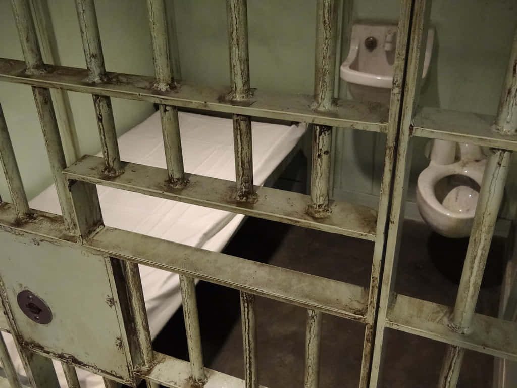 Prison cell wallpaper view through steel bars with narrow bed and muted green tones interior
