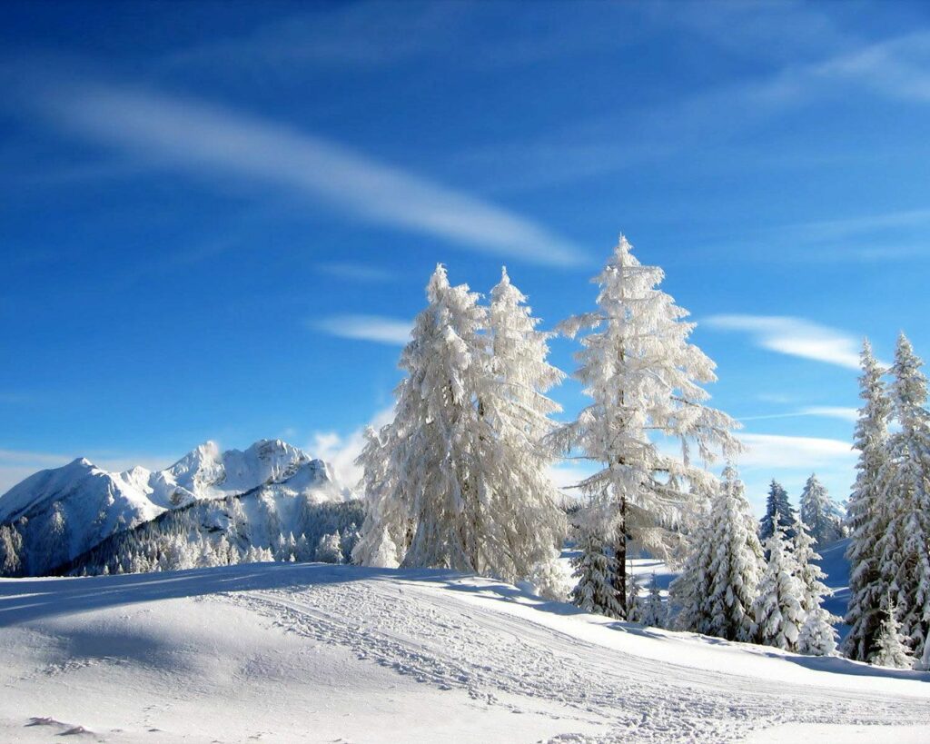 Snow-covered pine trees and distant mountains under bright blue sky in a serene alpine winter resort Wallpaper