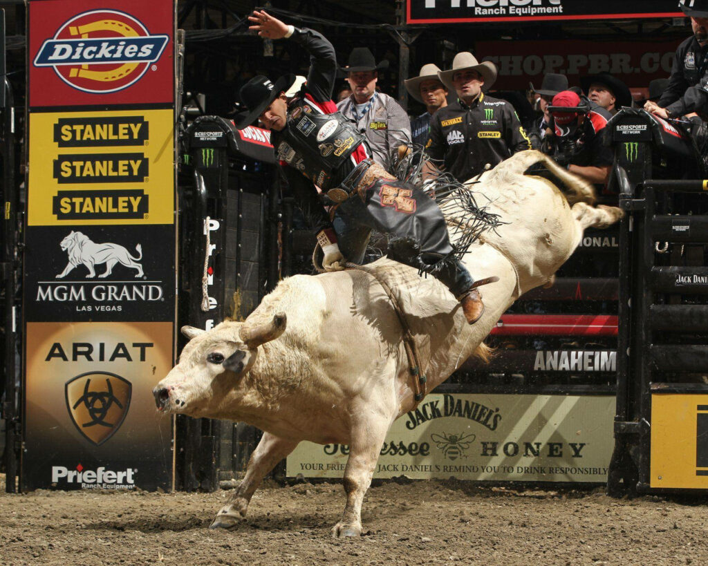 Professional bull riding intense action with rider on white bull mid-jump in rodeo arena Wallpaper