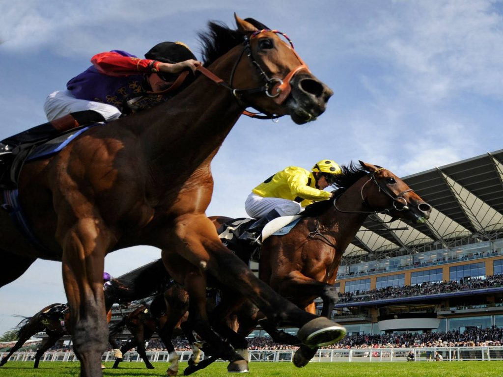 Professional horse racing action with jockeys in purple and yellow silks at modern track Wallpaper