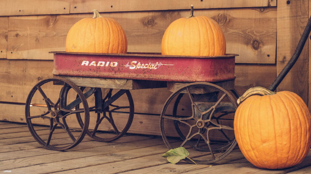 Pumpkin Delight: Captivating Food Photography in 4K Wallpaper