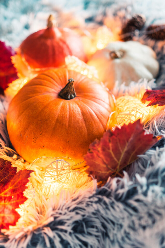 Pumpkin Patch Delight: A Charming Halloween iPhone Wallpaper with Adorable Decorations and Cozy Textures