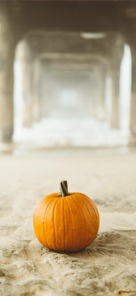 Pumpkin Harvest Serenade: A Thanksgiving-inspired Journey Along Sandy Hallways Wallpaper