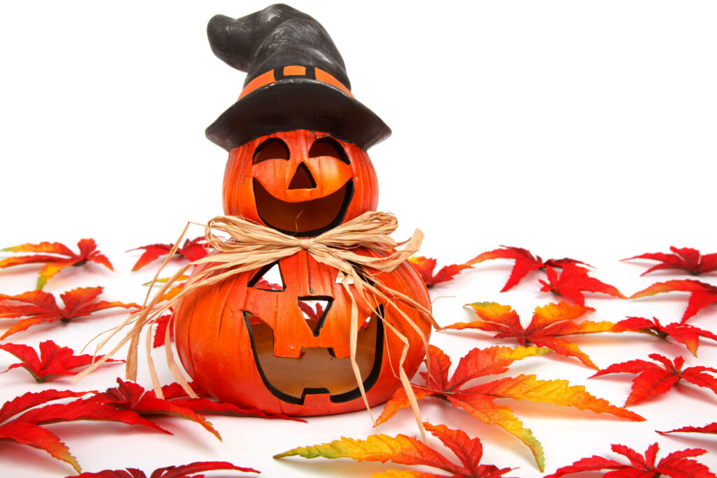 Pumpkin Pals: A Festive Autumn Wallpaper for Halloween