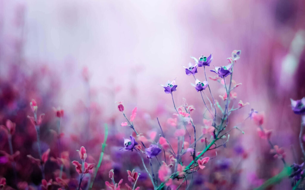 Blooming Beauty: A Purple Vibrant Flowers Paradise for Laptop Screens Wallpaper