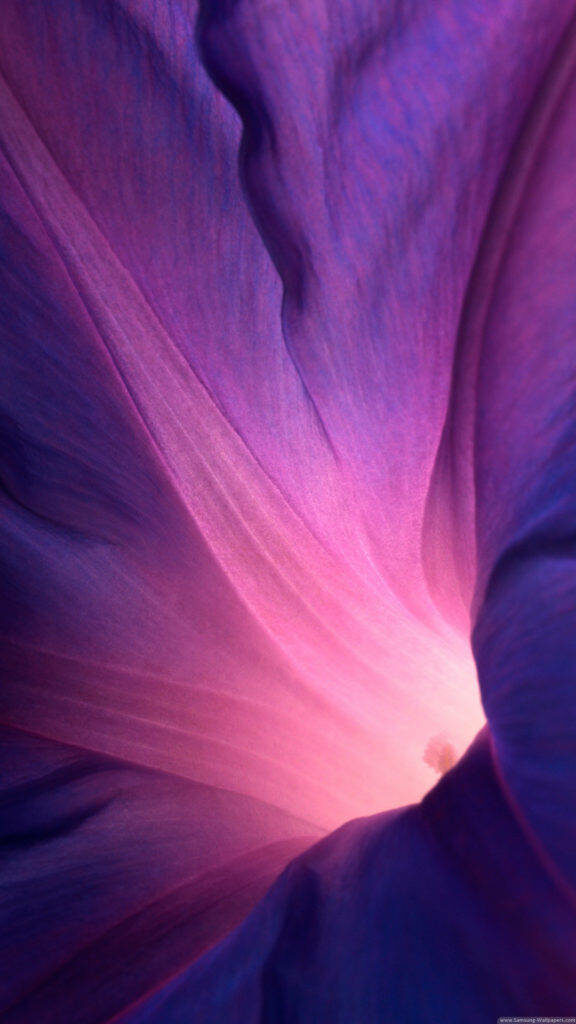 Purple Petal Perfection: A Closeup View of a Minimalist Floral Center on iPhone Stock Background Wallpaper