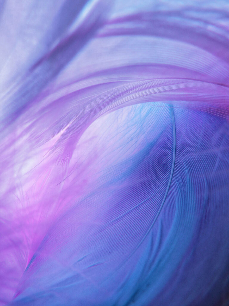 Vibrant Macro Shot: Mesmerizing Feathers in Purple Hues Create a Cool Aesthetic Background Wallpaper