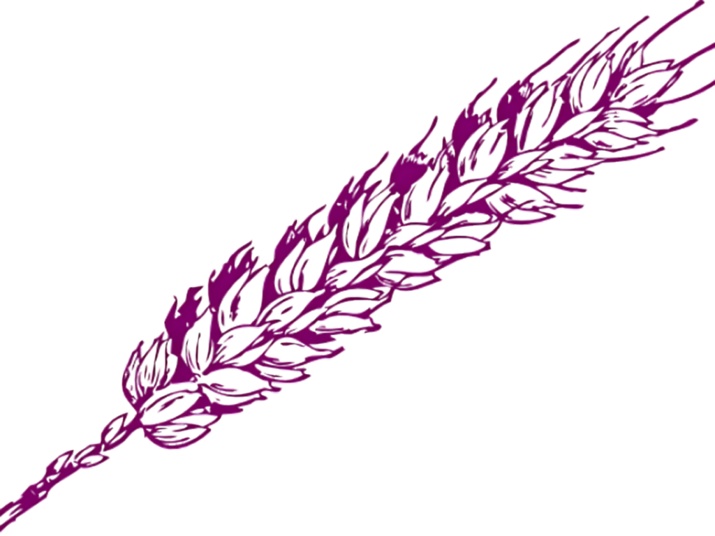 Artistic Purple Wheat Vector Wallpaper with Transparent Background