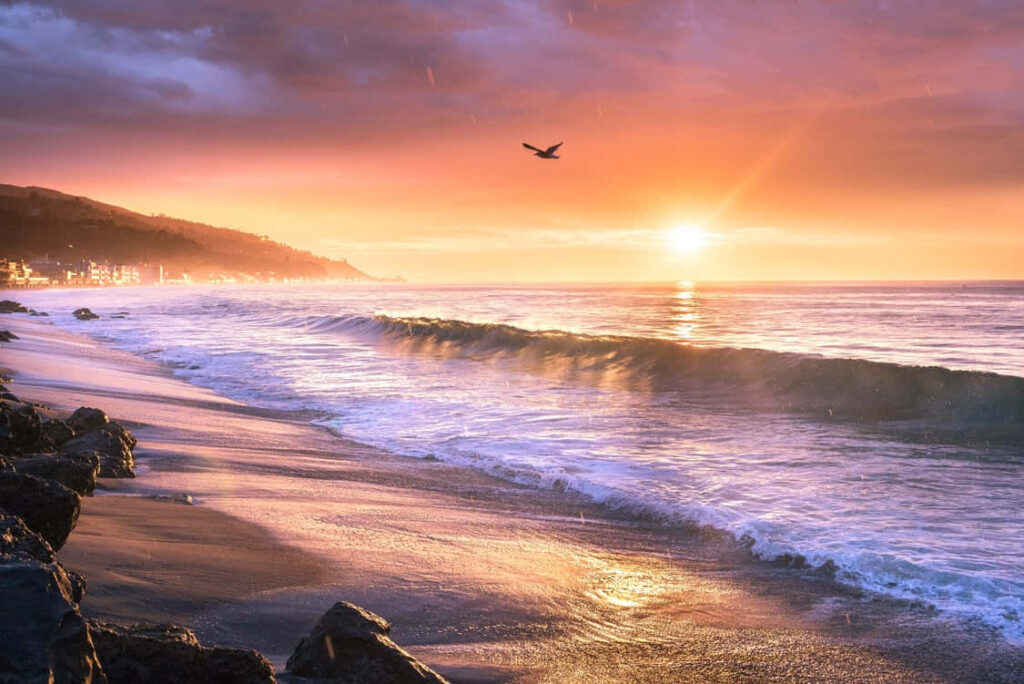 Majestic Sunrise over Malibu's Vibrant Purple Ocean - A Breathtaking Desktop Wallpaper