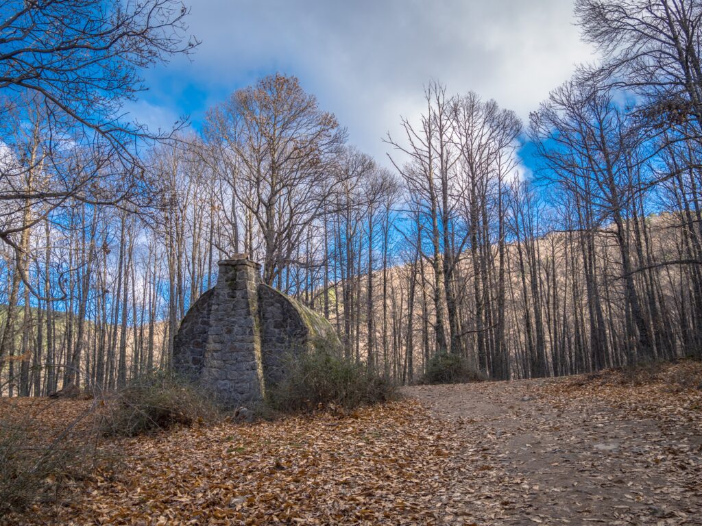 Old stone asylum in serene forest with tall leafless trees and autumn leaves under blue sky Wallpaper