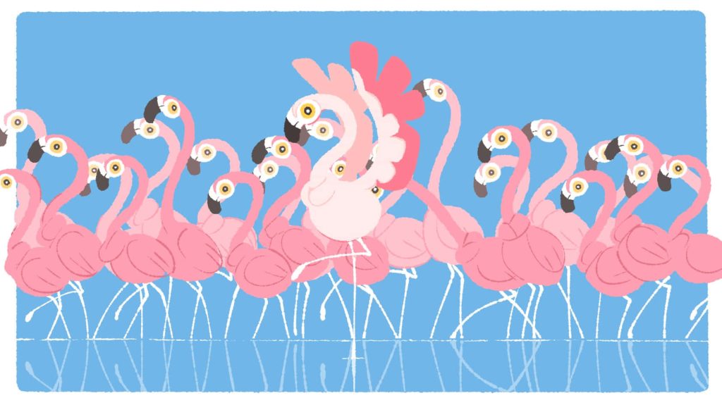Cartoon wallpaper of quirky Cramorant Pokémon in a row with bright eyes on blue background