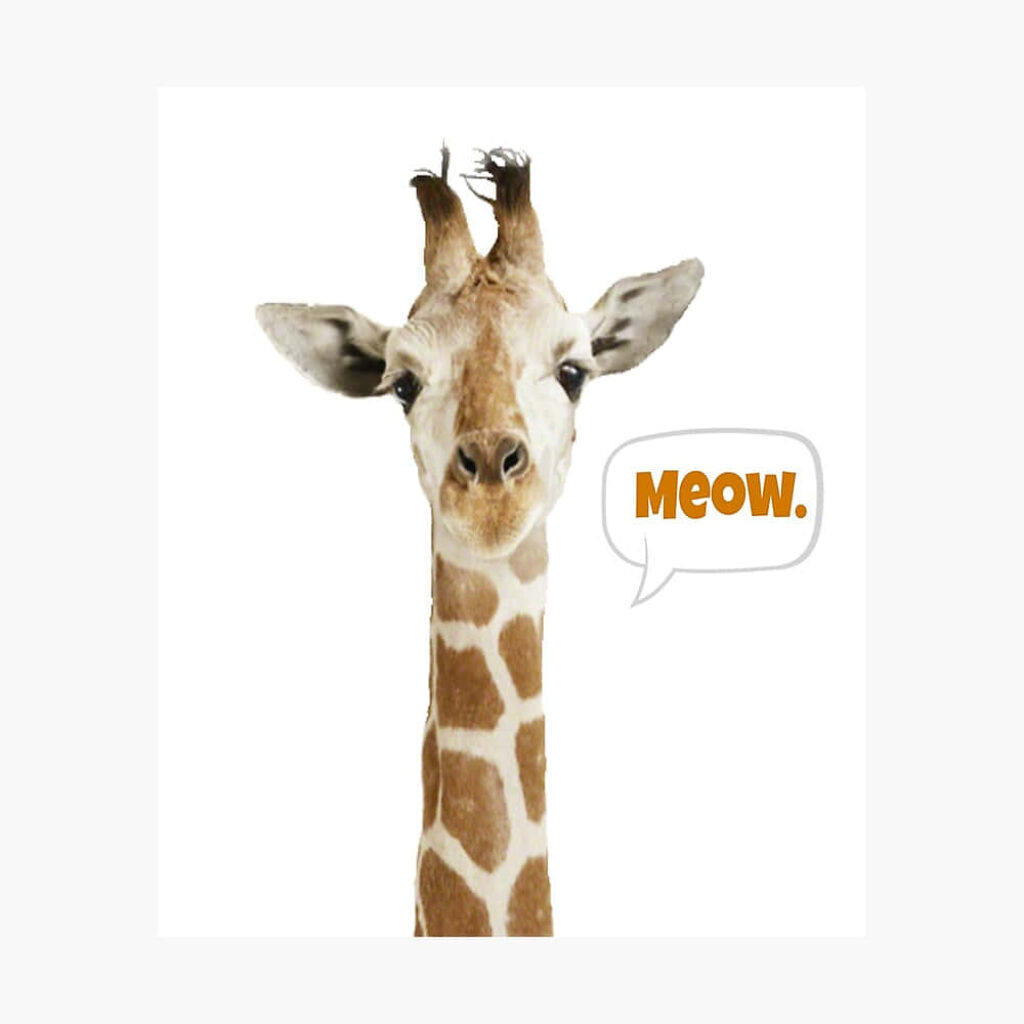 Playful Giraffe Wallpaper with 'Meow' Speech Bubble - Fun Background