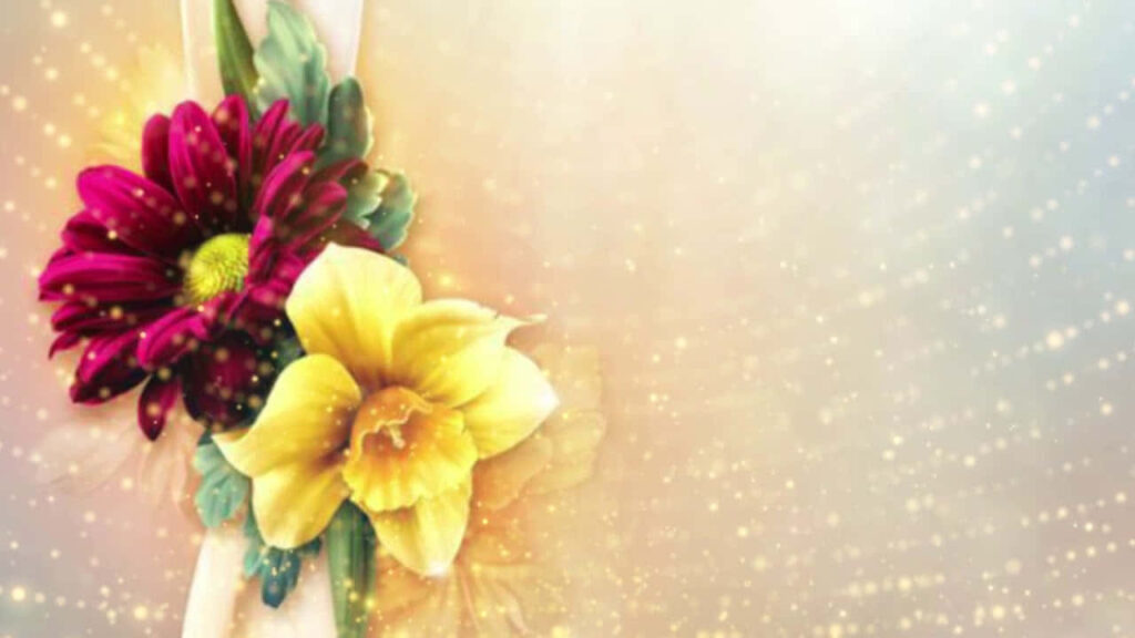 Radiant Floral Wallpaper: Vibrant Red & Yellow Blossoms Background